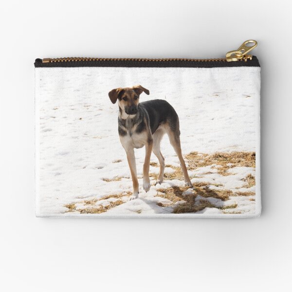 Untitled Zipper Pouch