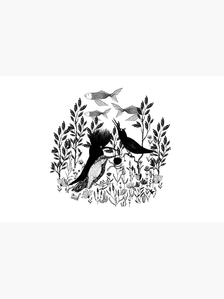 Birds by spoto