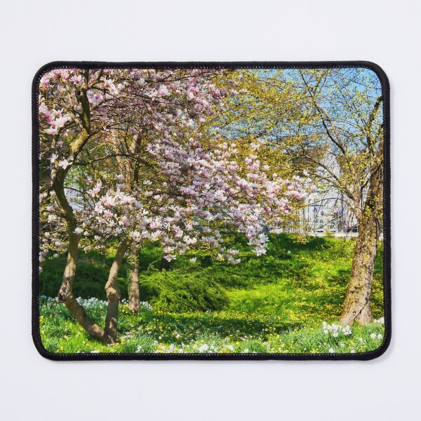 Item preview, Springtime in Bavaria designed and sold by Travelways.