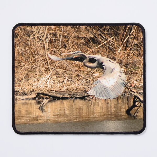 Item preview, GREAT BLUE HERON 16 designed and sold by BOLLA67.