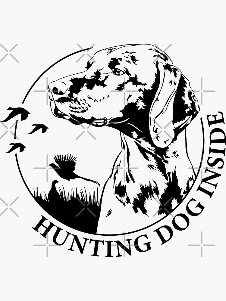 Hungarian Vizsla Hound Hunting Dog inside