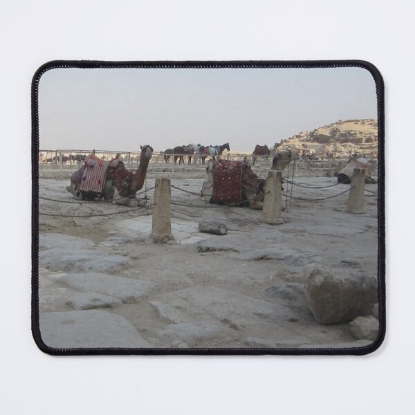 Item preview, Arabian Camels  designed and sold by Nesro34.
