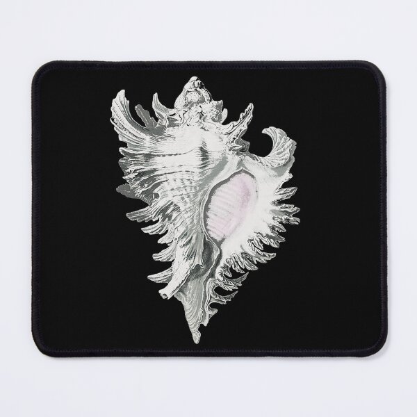 Item preview, Conch Shell designed and sold by KathteeDesign.
