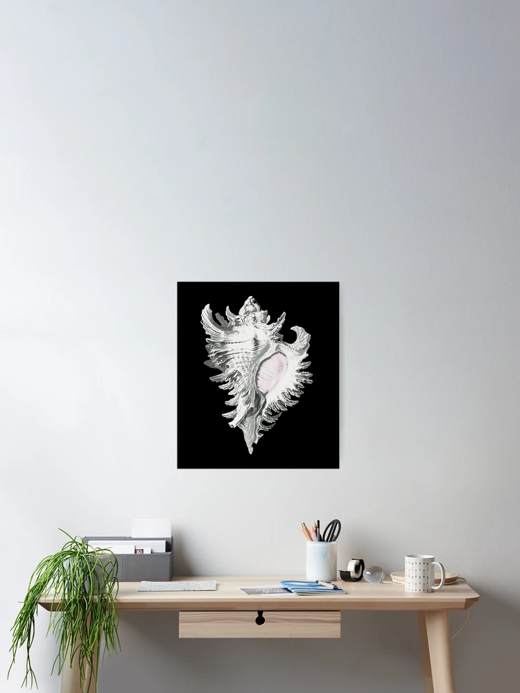 Thumbnail 2 of 3, Poster, Conch Shell designed and sold by KathteeDesign.