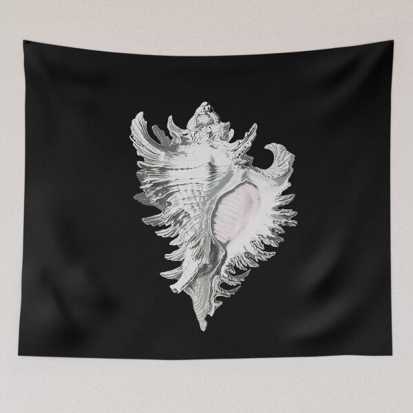 Item preview, Conch Shell designed and sold by KathteeDesign.