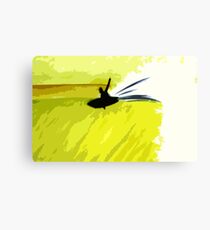 flying fish Canvas Print