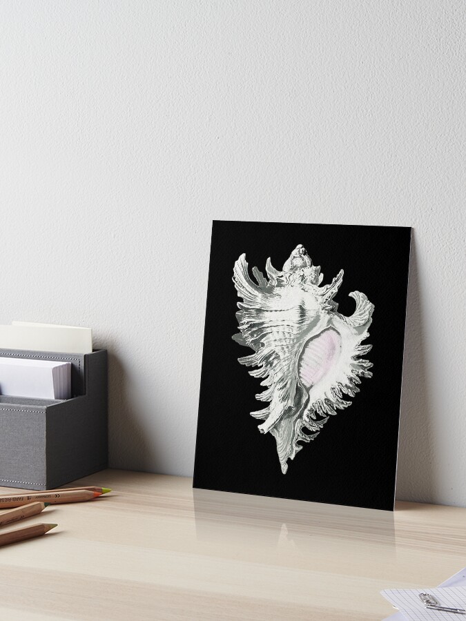 Sea Shell Bra | Art Board Print