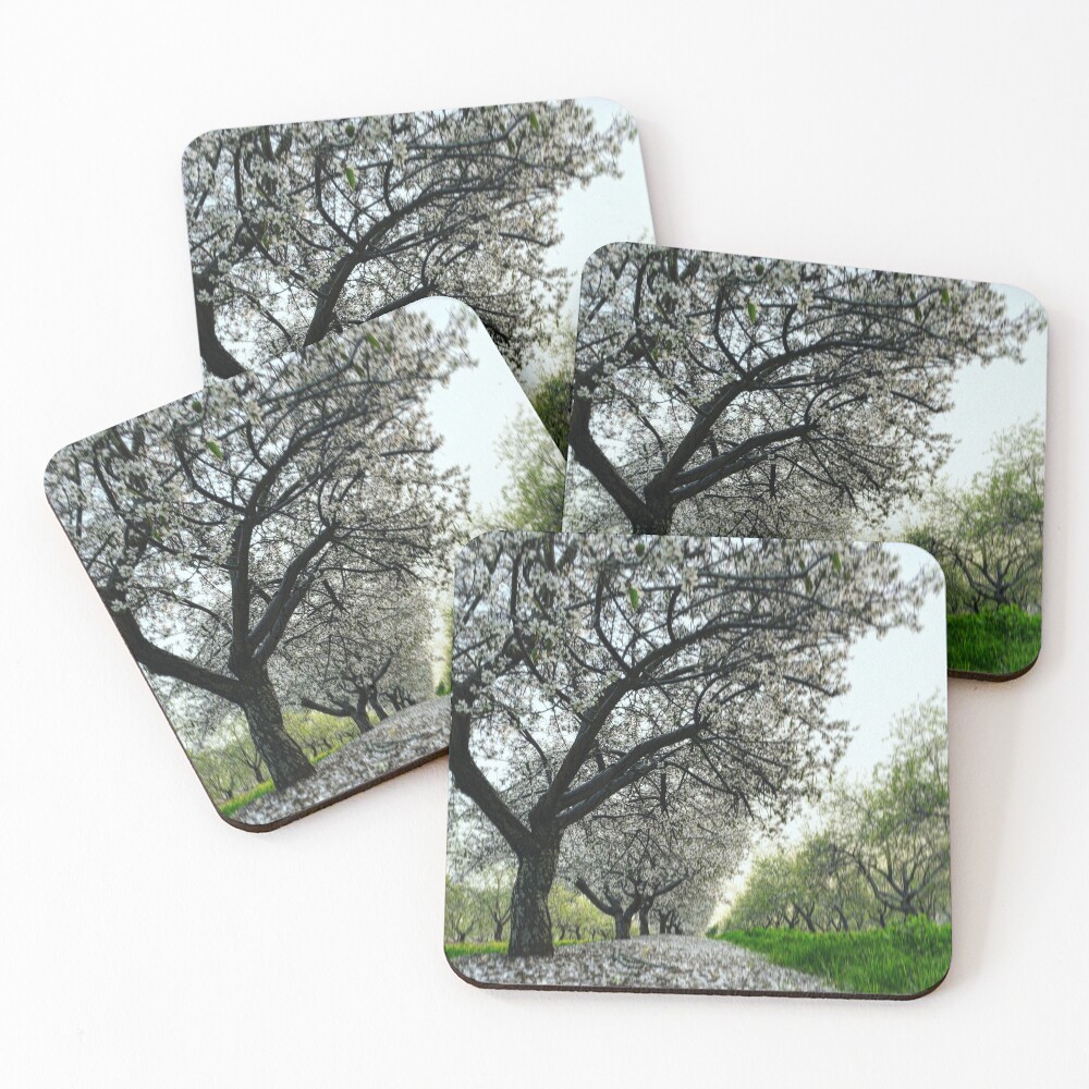 Item preview, Coasters (Set of 4) designed and sold by oleg1981.