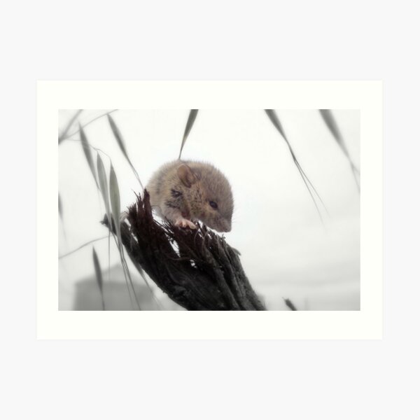 Getting Warmer Art Print