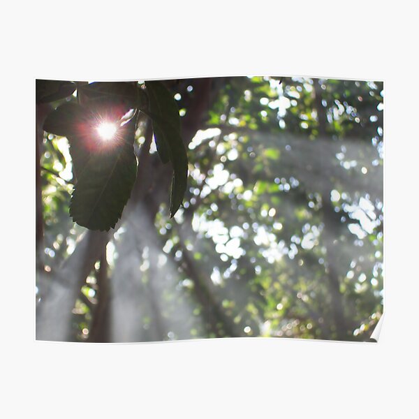 Untitled (for now) Poster