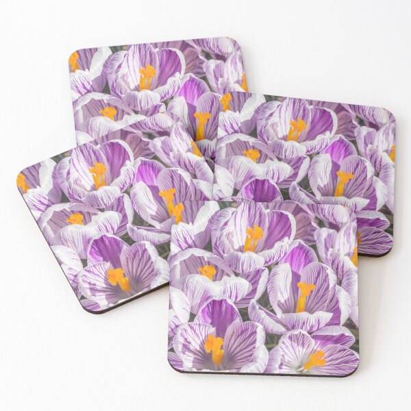 Item preview, Crocuses designed and sold by Dave Hare Photography.