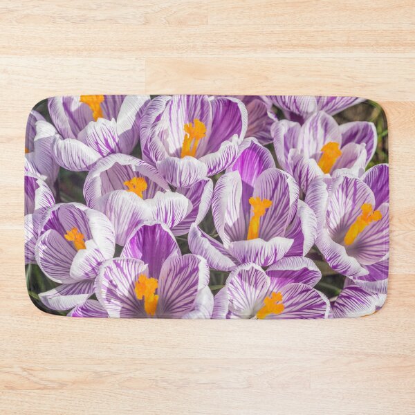 Item preview, Crocuses designed and sold by Dave Hare Photography.