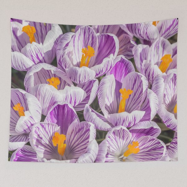 Item preview, Crocuses designed and sold by Dave Hare Photography.