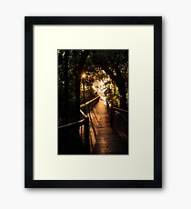 To the beach - Palm Cove, Queensland Framed Print