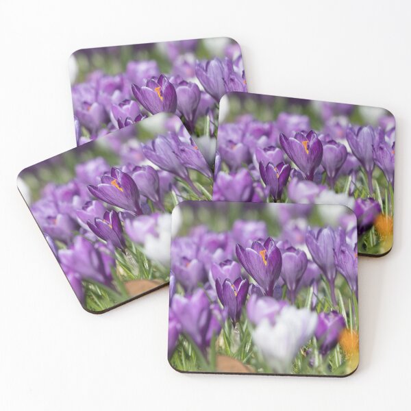 Item preview, Purple Crocus designed and sold by Dave Hare Photography.