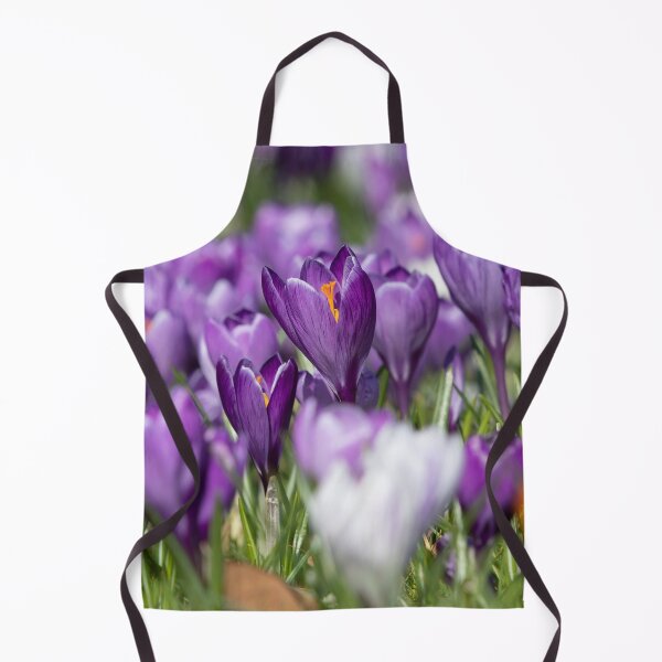 Item preview, Purple Crocus designed and sold by Dave Hare Photography.