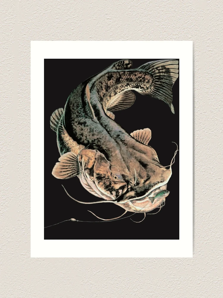 Flathead Catfish Fishing Sticker Art Print for Sale by FranFranke