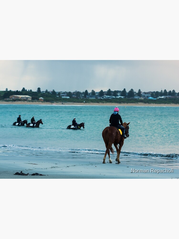 "You can lead a horse to water Warrnambool Victoria Australia" Poster