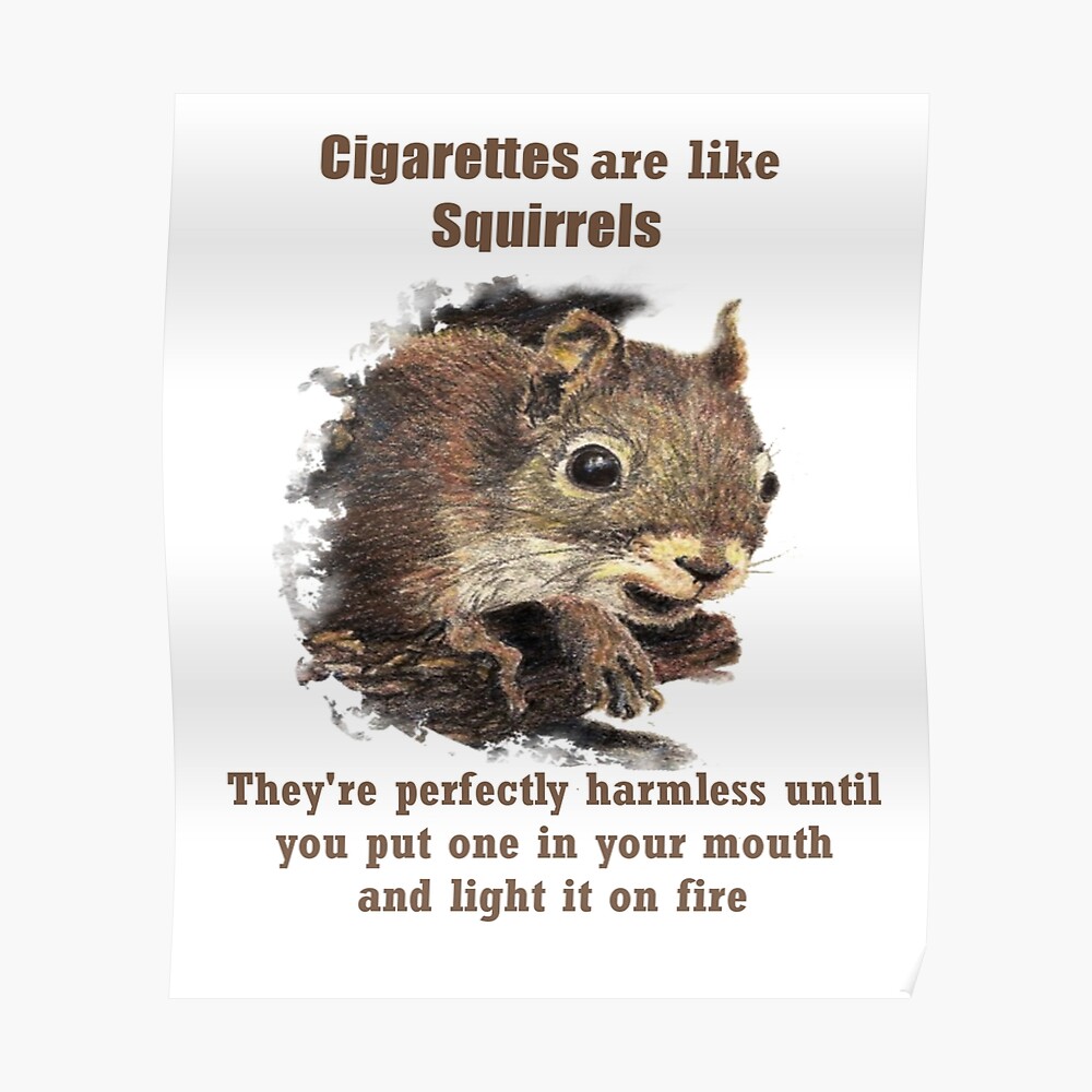 squirrl feeding vinyl graphic decal sticker sign funny humor