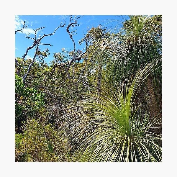 Item preview, Native Bush Designs - Australian Bush Collection Flora designs designed and sold by dsrdirect.