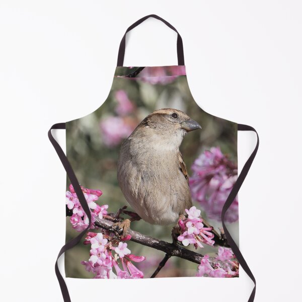 Item preview, r693/ Un Amour de Moineau " Les Oiseaux du jardin " simply life " to Okaio Créations - Olavia-Olao designed and sold by o.okaïo.