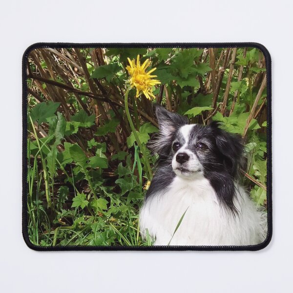 Item preview, Butterflydog looking at a flower designed and sold by Vienola.