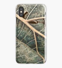 Organic Decay iPhone Case/Skin