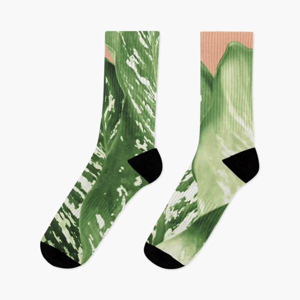 Item preview, Dieffenbachia - Exotic Leaves #1 #tropical #wall #art  designed and sold by Anita's & Bella's Art.