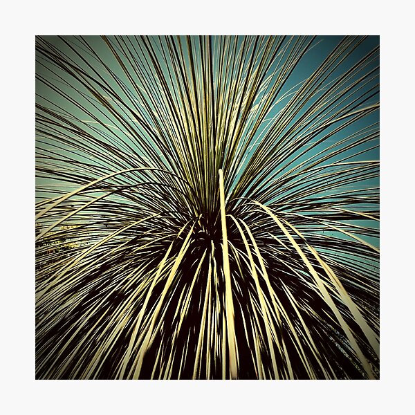 Item preview, Native Bush Designs - Australian Bush Collection Flora designs designed and sold by dsrdirect.