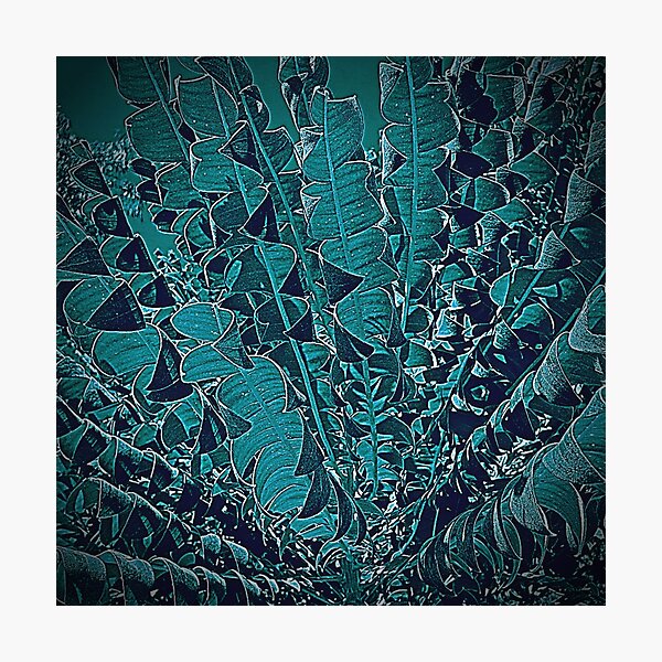 Item preview, Native Bush Designs - Australian Bush Collection Flora designs designed and sold by dsrdirect.