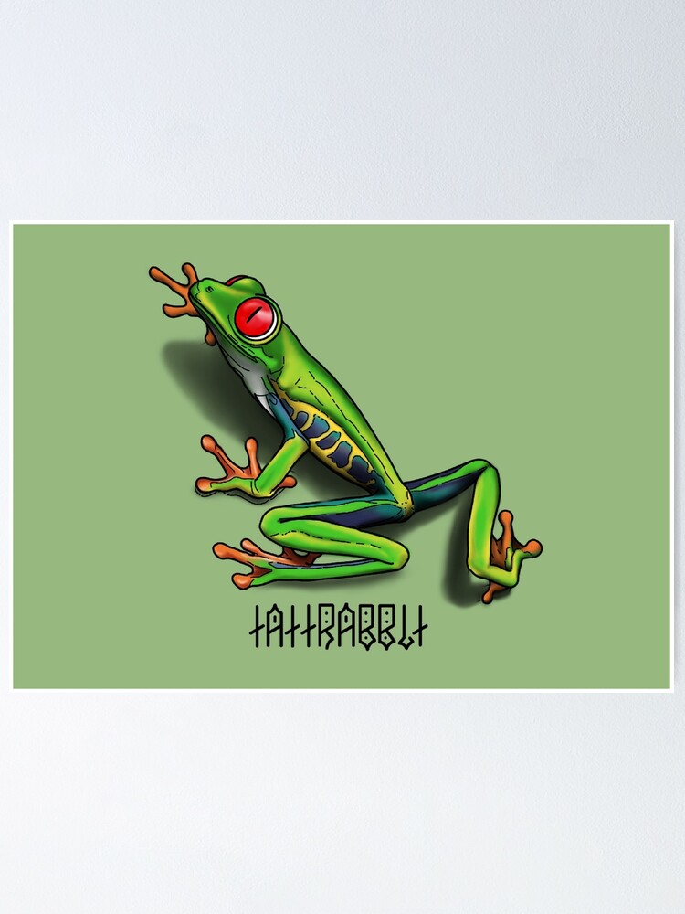 Red Eyed Tree Frog Red Eyed Tree Frog