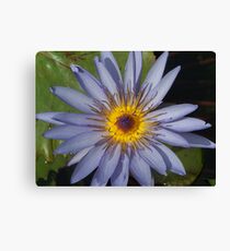 Flower Canvas Print