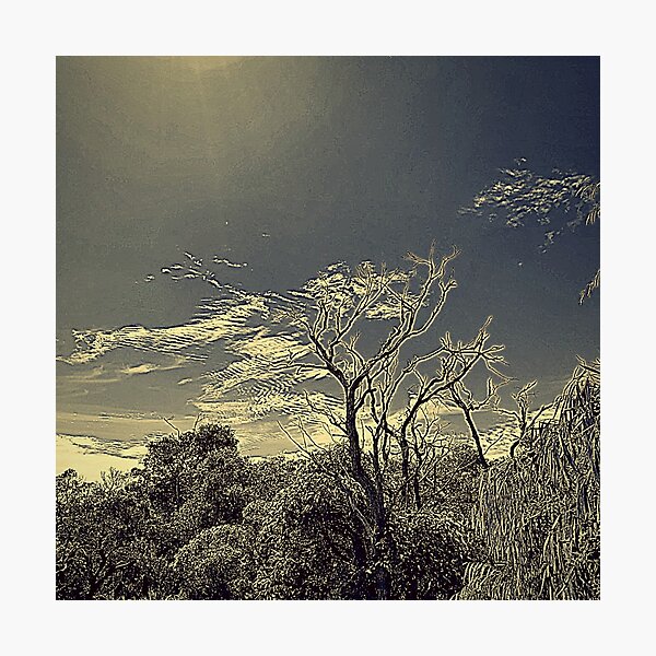 Item preview, Native Bush Designs - Australian Bush Collection Flora designs designed and sold by dsrdirect.