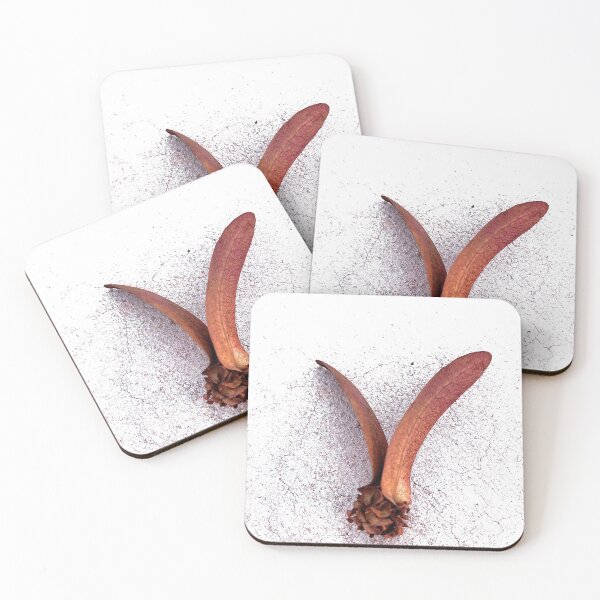 Item preview, Brown fly seed, Dipterocarpus alatus designed and sold by EnjoyArtWorld.