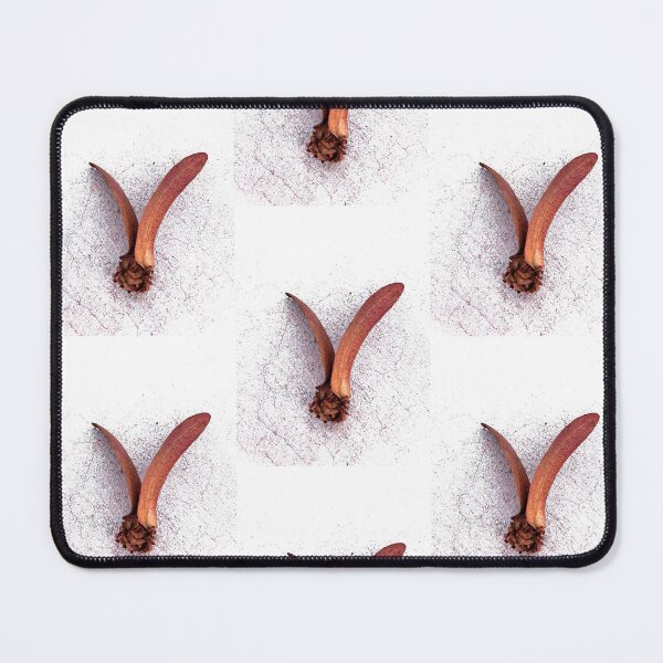 Item preview, Brown fly seed, Dipterocarpus alatus designed and sold by EnjoyArtWorld.