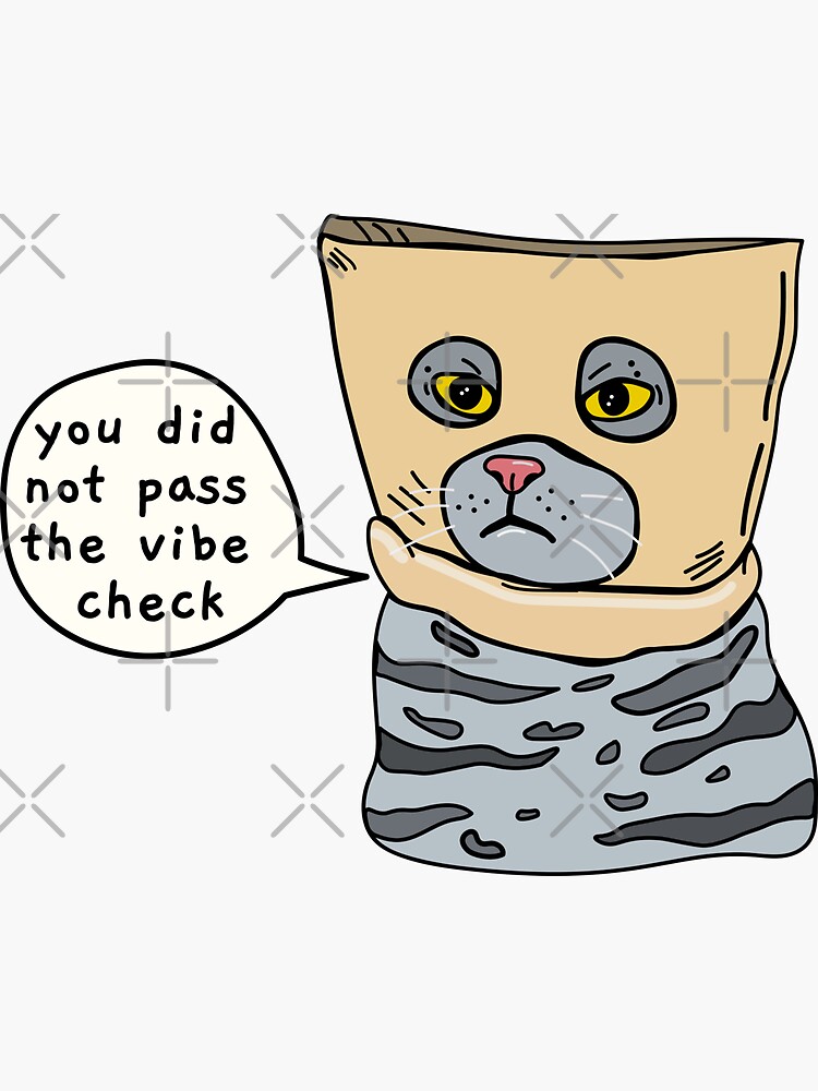 you-did-not-pass-the-vibe-check-sticker-for-sale-by-sourdigitals