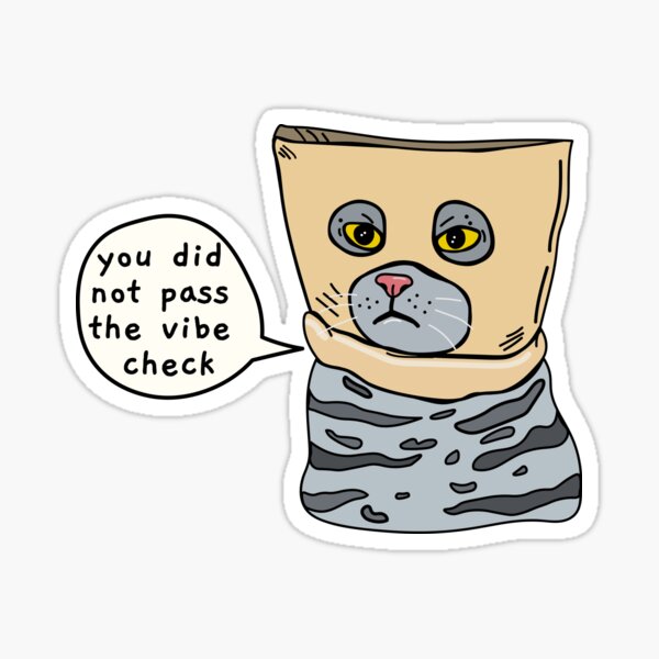 you-did-not-pass-the-vibe-check-sticker-for-sale-by-sourdigitals