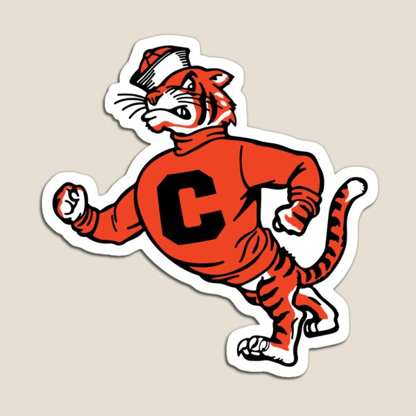 Cincinnati Bengals Flame Burst Logo type Outline State of OHIO Die-cut  MAGNET