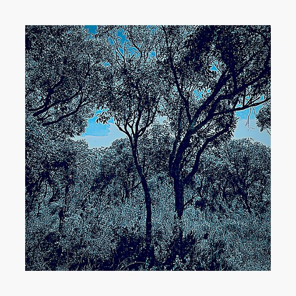 Item preview, Native Bush Designs - Australian Bush Collection Flora designs designed and sold by dsrdirect.