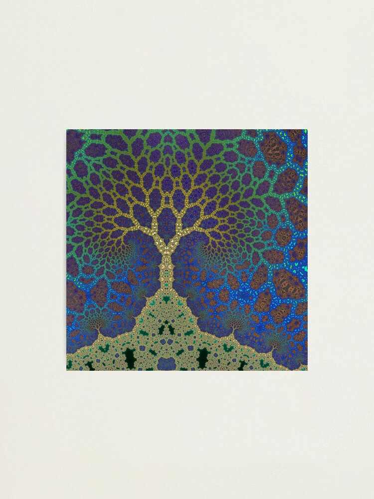 Alternate view of Inner Life of a Tree 2 Photographic Print