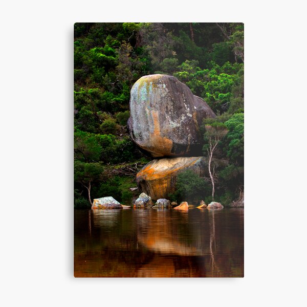 Moby Dick Metal Print