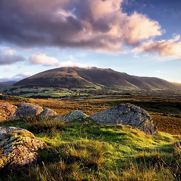 Artwork thumbnail, Low Rigg View by Phil Buckle
