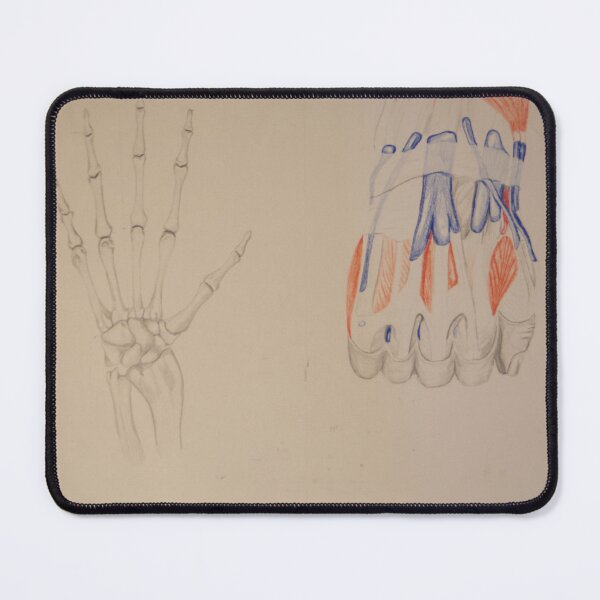 Item preview, Hand Anatomy designed and sold by csenior.