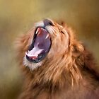 «¡Día duro!» de Lyn Darlington