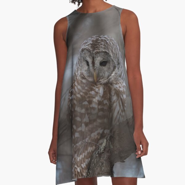 Barred Owl A-Line Dress