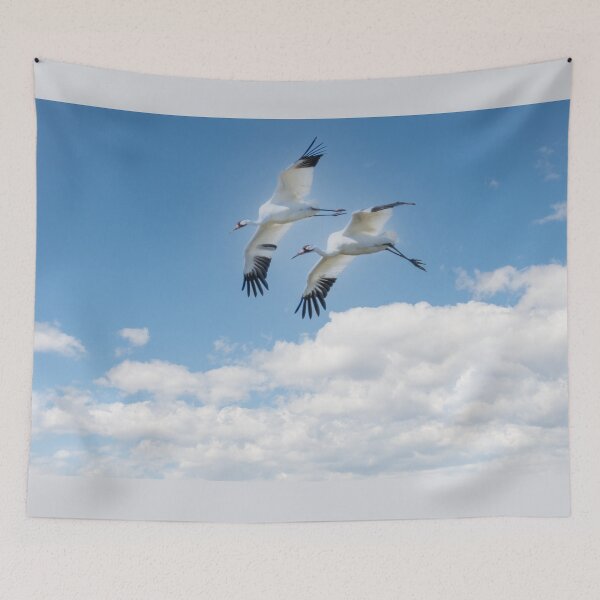 Item preview, Whooping Cranes In Flight by Debra Martz designed and sold by Debra Martz.