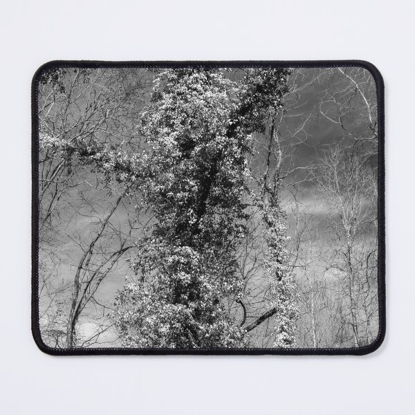 Item preview, Rejoicing designed and sold by Susan  Nixon.