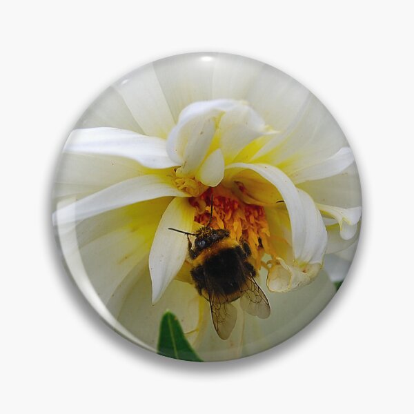 Artikelvorschau, BUSY AS A BEE. entworfen und verkauft von ronsaunders47.