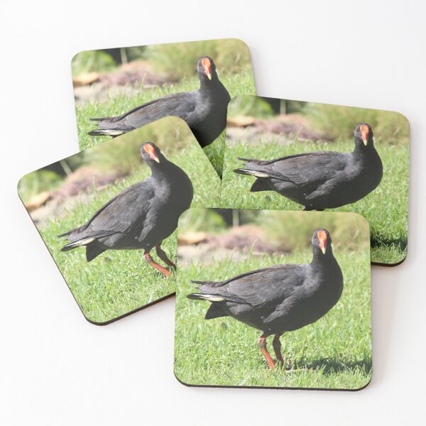 Item preview, Dusky Moorhen designed and sold by irened71.
