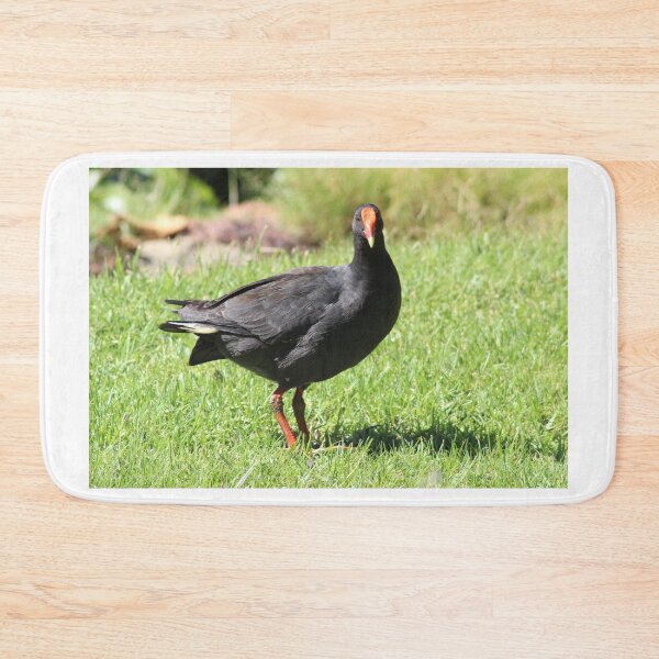 Item preview, Dusky Moorhen designed and sold by irened71.